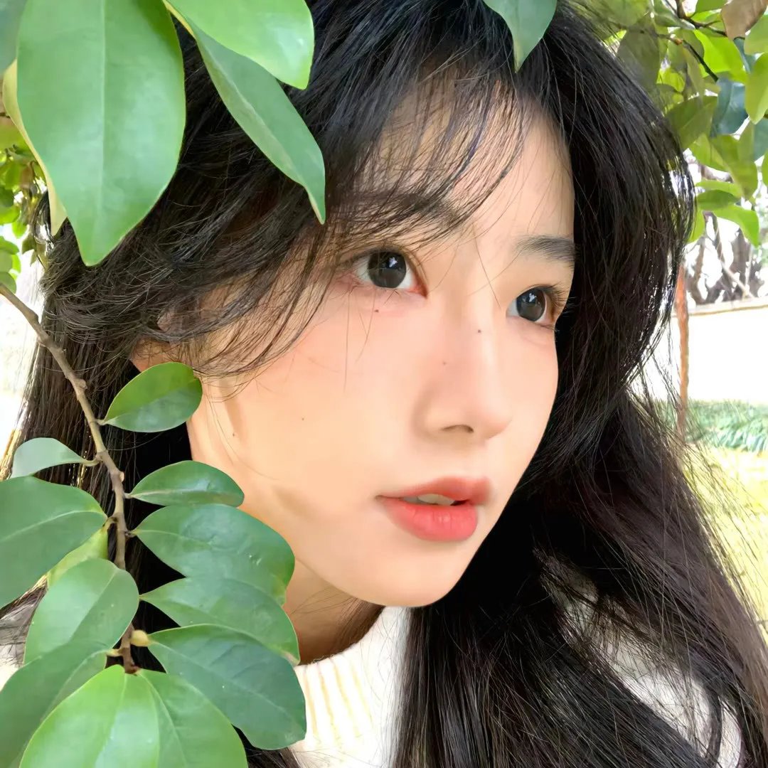 落秘书为何要这样